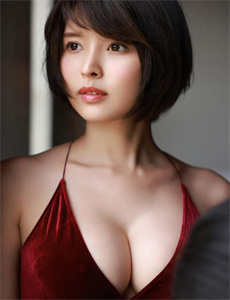 电视剧紫藤恋